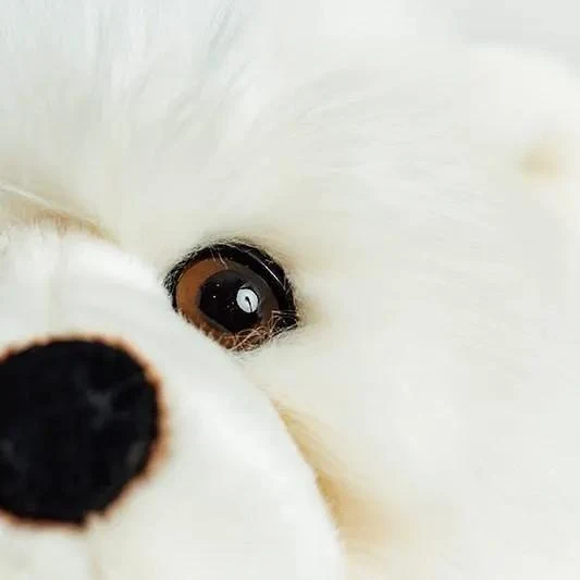 Ma peluche Ours Jules - La Pelucherie