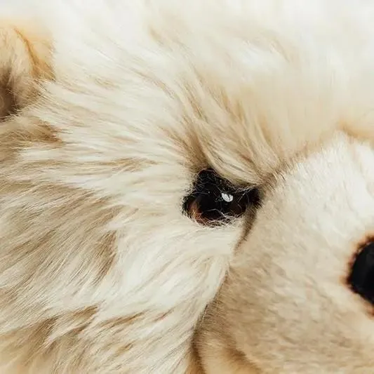 Ma peluche Ours Jules - La Pelucherie