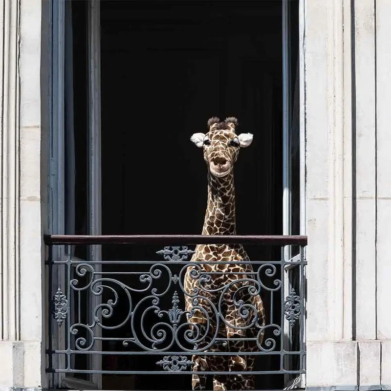 Ma peluche Girafe Zoé - La Pelucherie