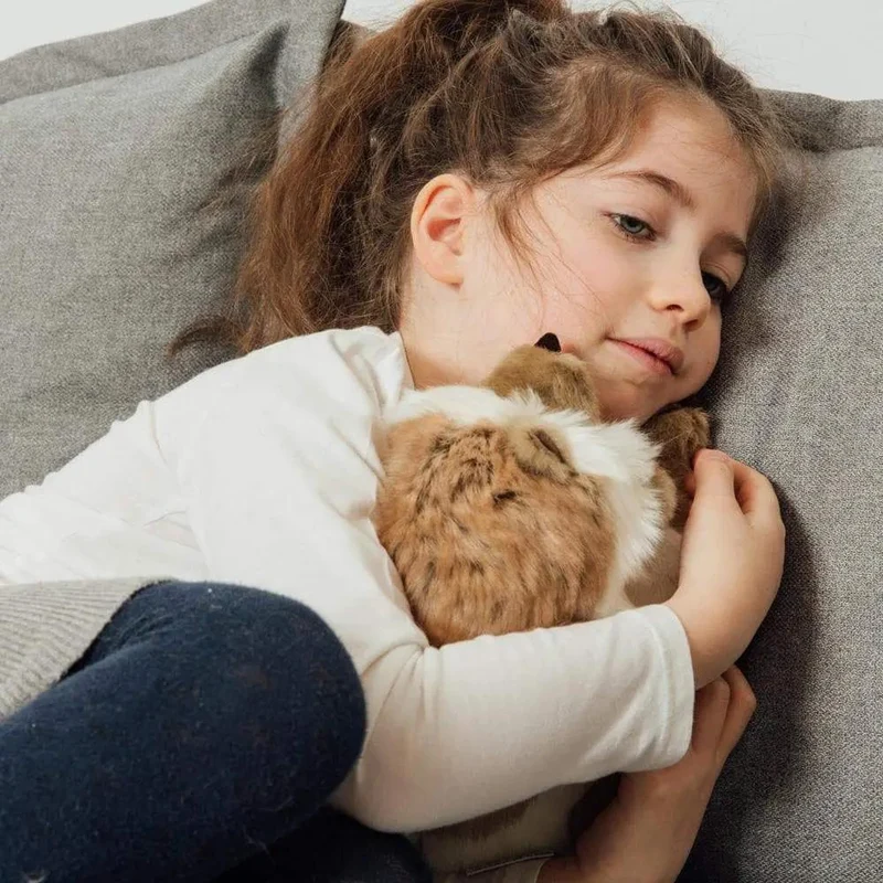 Ma peluche Hérisson Alfred - La Pelucherie
