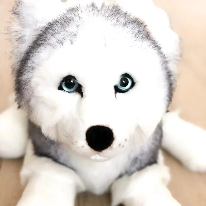 Ma peluche Husky Léonard - La Pelucherie