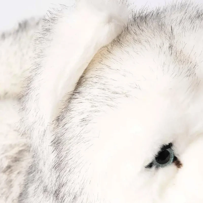 Ma peluche Husky Léonard - La Pelucherie
