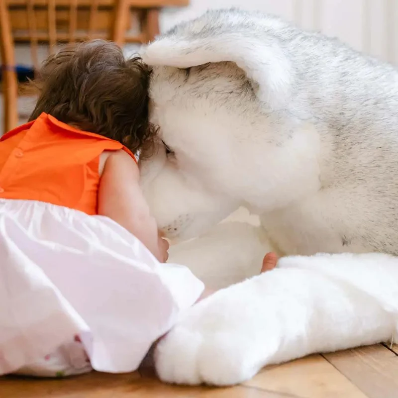 Ma peluche Husky Léonard - La Pelucherie