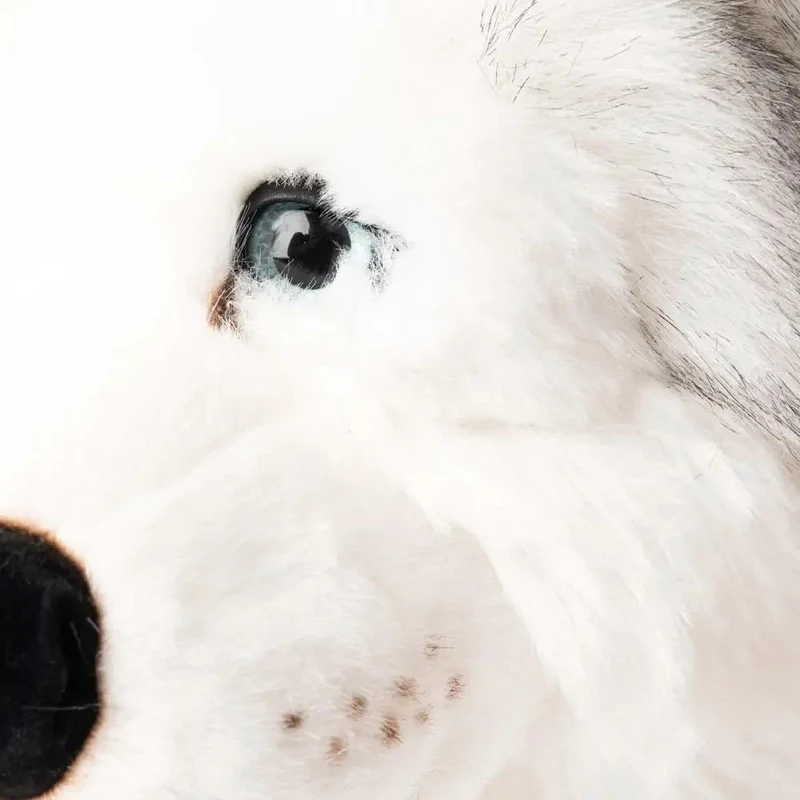 Ma peluche Husky Léonard - La Pelucherie