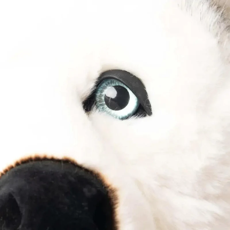 Ma peluche Husky Léonard - La Pelucherie