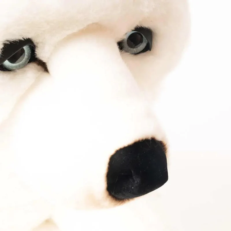 Ma peluche Husky Léonard - La Pelucherie