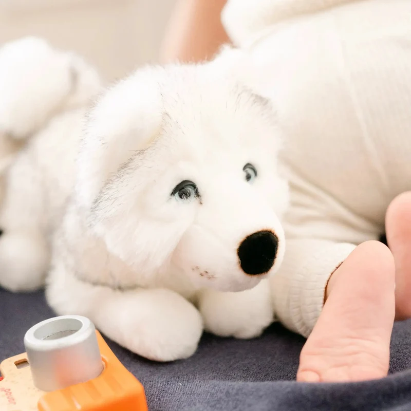 Ma peluche Husky Léonard - La Pelucherie