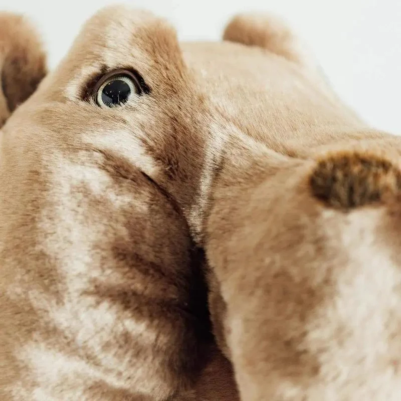 Ma peluche Hippopotame Edgar - La Pelucherie