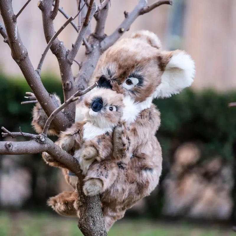 Ma peluche Koala Félicien - La Pelucherie