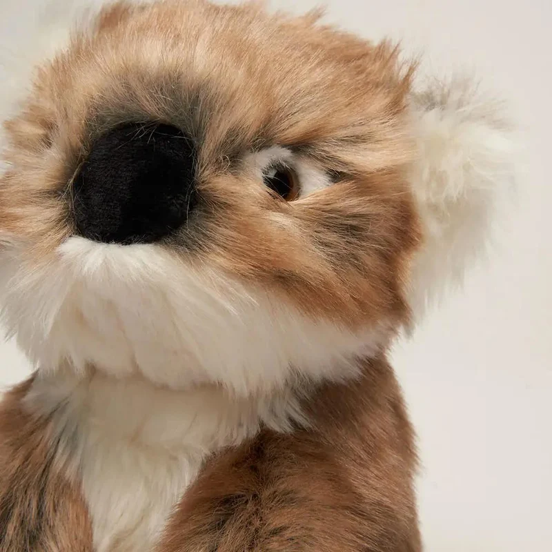 Ma peluche Koala Félicien - La Pelucherie