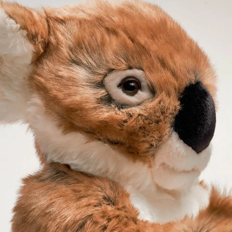 Ma peluche Koala Félicien - La Pelucherie