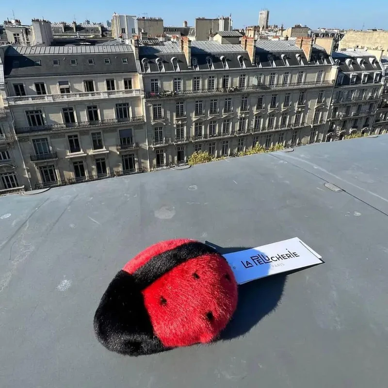 Ma peluche Coccinelle Lily - La Pelucherie