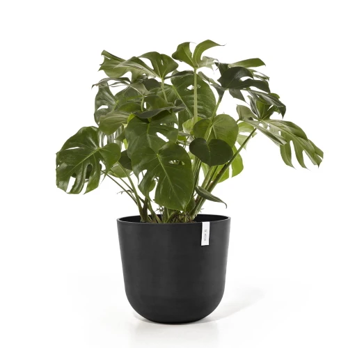 Vaso Rotondo Oslo D55 H47.90 cm Grigio Scuro ECOPOTS