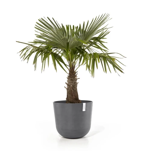 Vaso Rotondo Oslo D55 H47.90 cm Grigio ECOPOTS