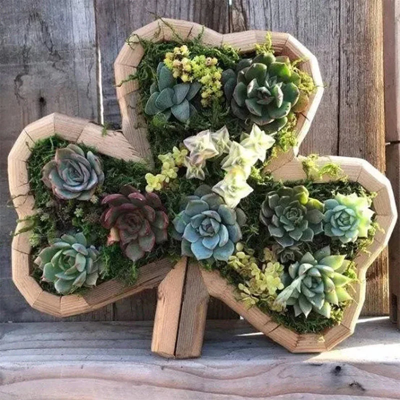 NatureCraft – Dekorative figuriner med sukkulenter til indendørs og udendørs brug