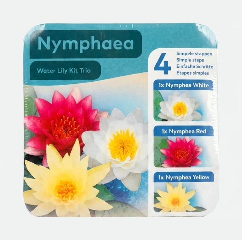 Nymphaea