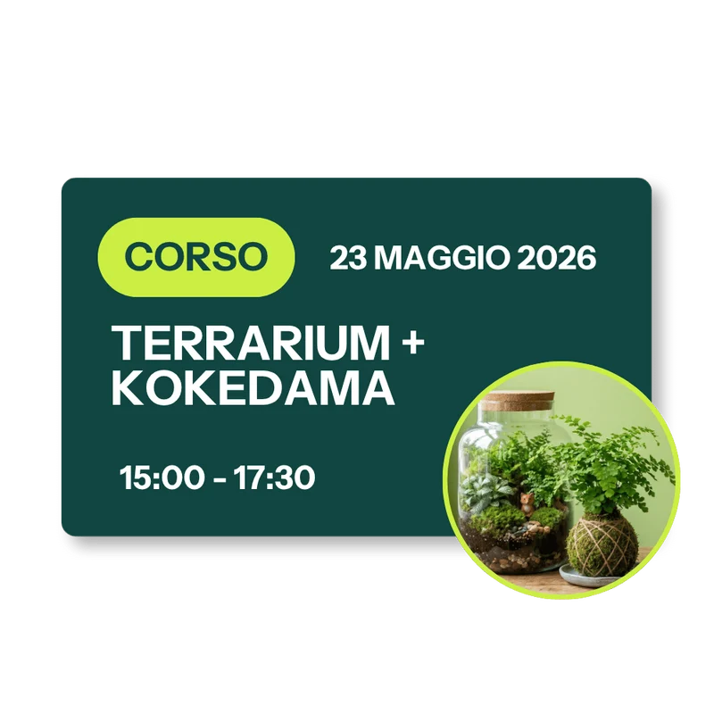 Corso Terrarium + Kokedama - 23 Maggio 2026