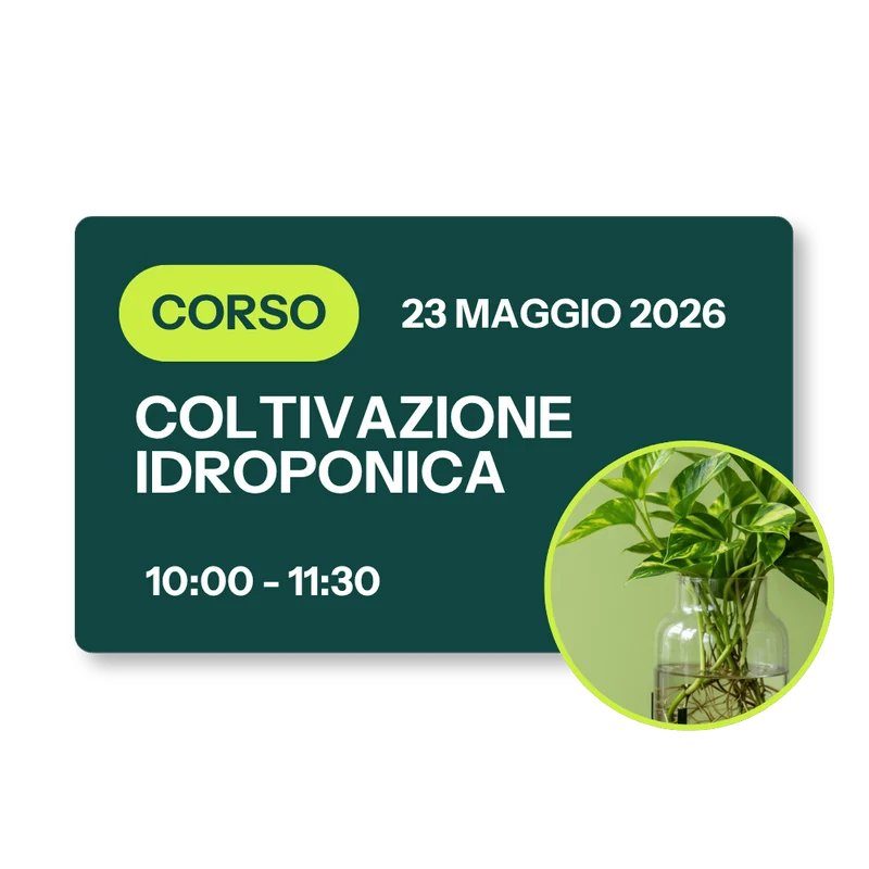 Corso Coltivazione Idroponica - 23 Maggio 2026