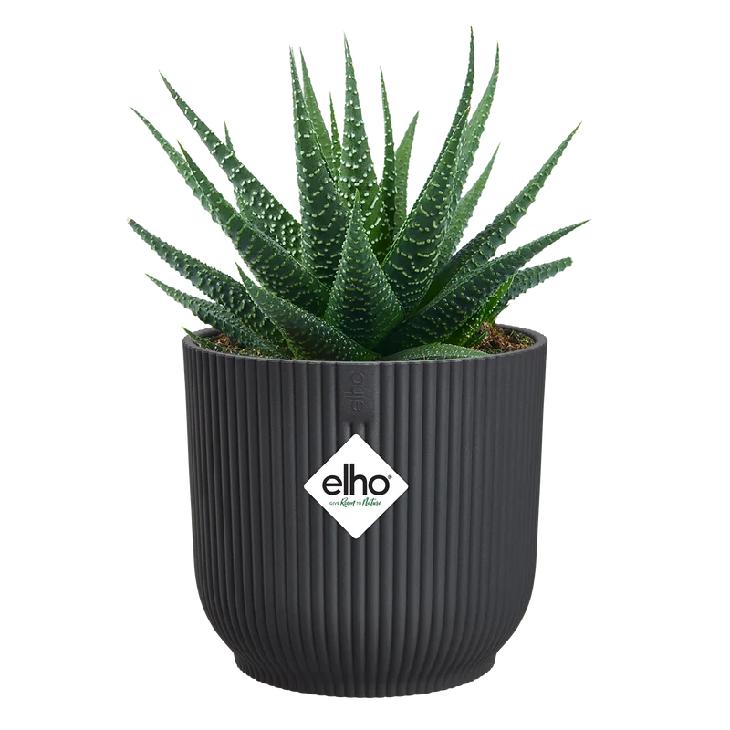 Vaso Vibes Fold Round Mini D7 x H7 cm Antracite ELHO