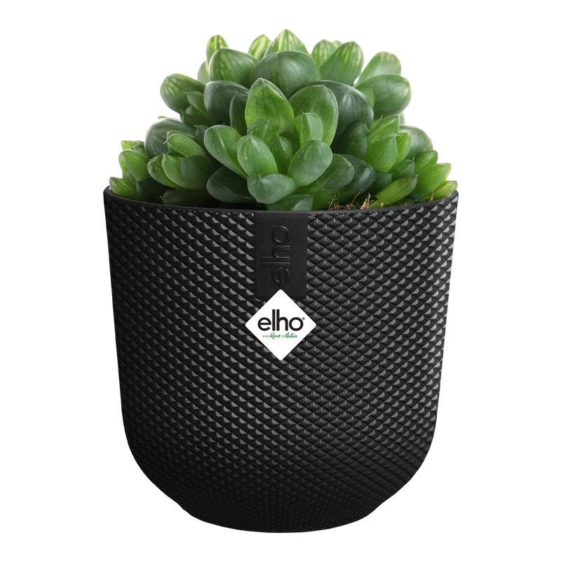 Vaso Jazz Round Mini D 9 x H 9 cm Nero ELHO