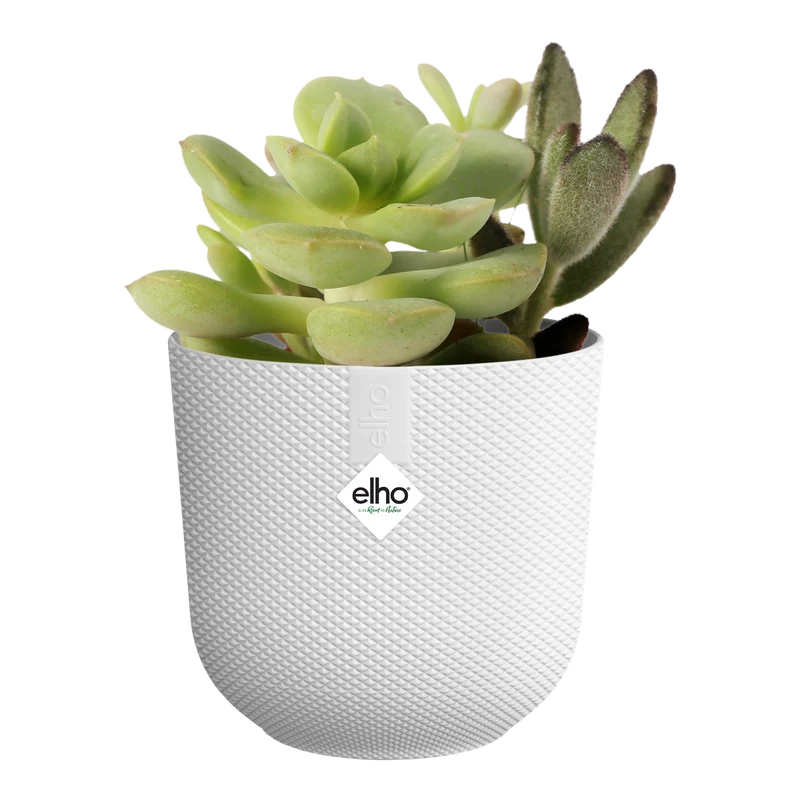 Vaso Jazz Round Mini D 7 x H 7 cm Silky White ELHO