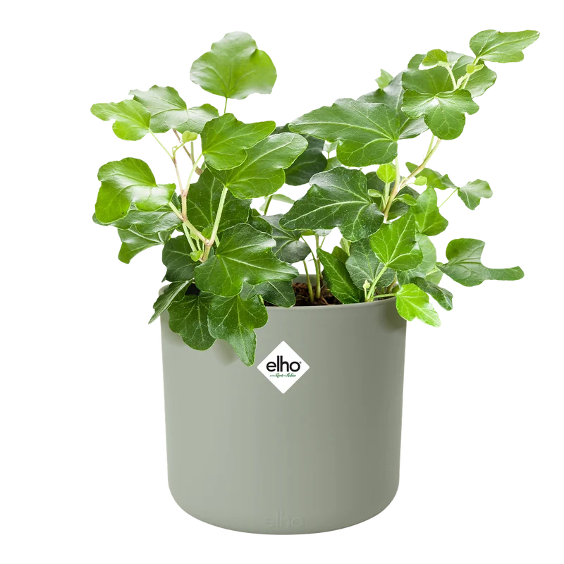 Vaso B.for soft round D 14 x H 13 cm verde pietra ELHO
