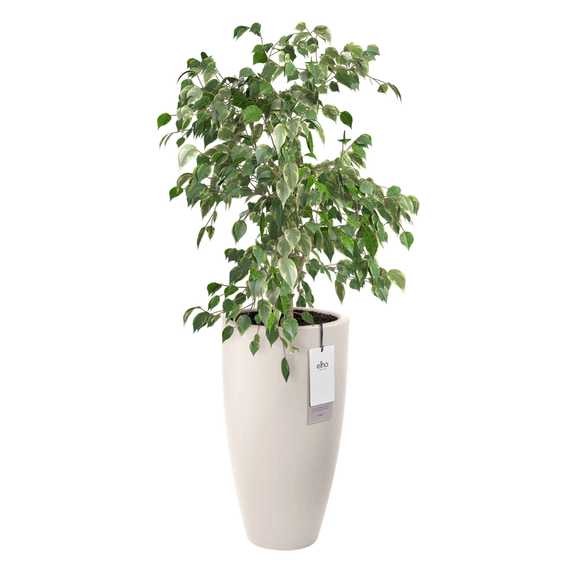 Vaso Rotondo Alto D 39 x H 70 cm Bianco Lino ELHO