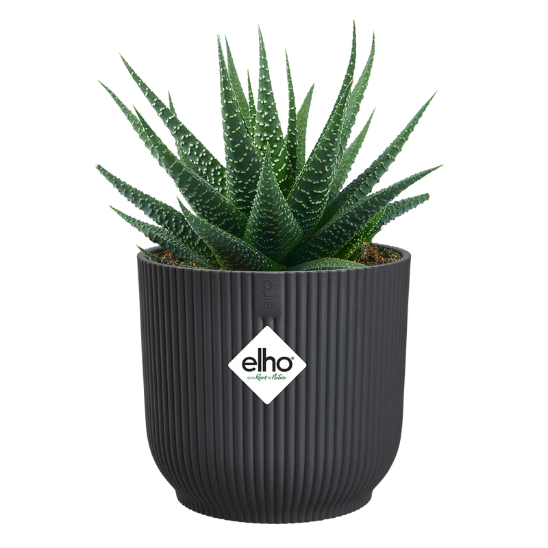 Vaso Vibes Fold Round Mini D 11 x H 11 cm Antracite ELHO