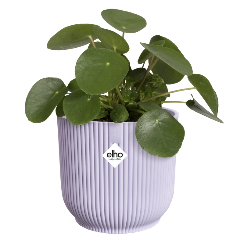Vaso Vibes Fold Round D16 x H15 cm Lilla Tenue ELHO