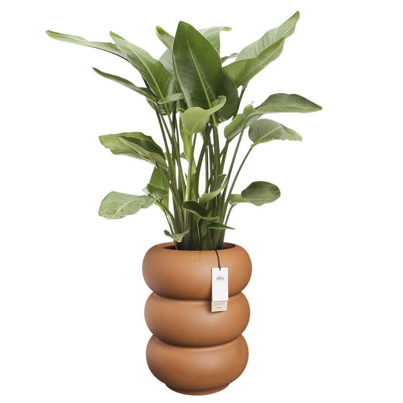 Vaso Amber Roll High D 43 x H 58 cm Caramel ELHO
