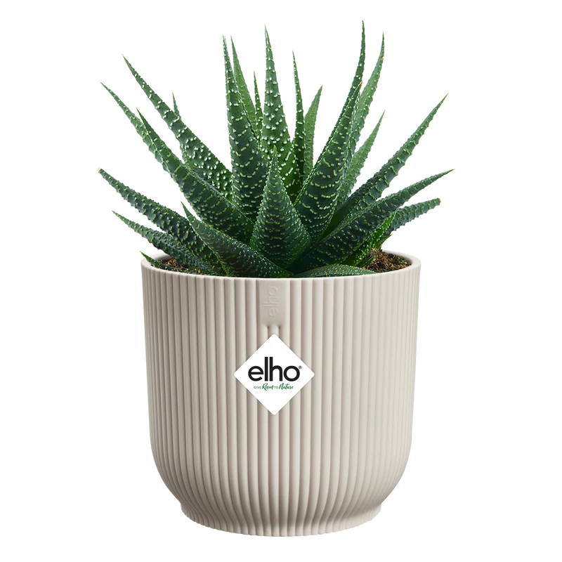 Vaso Vibes Fold Round Mini D 7 x H 7 cm Lino ELHO