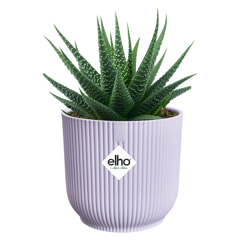 Vaso Vibes Fold Round Mini D 7 x h 7 cm Lilla Tenue ELHO