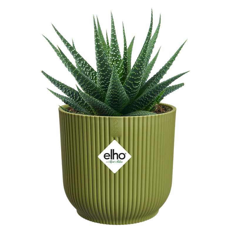 Vaso Vibes Fold Round Mini D 11cm H 11cm Verde felce ELHO
