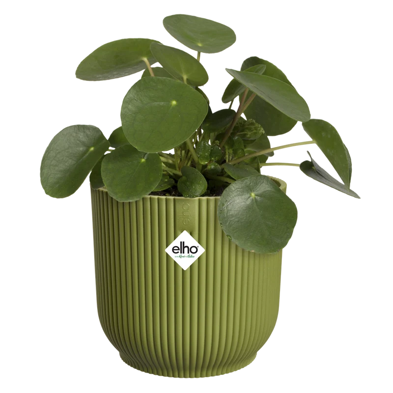 Vaso Vibes Fold Round D 16 x H 15 cm Verde Felce ELHO