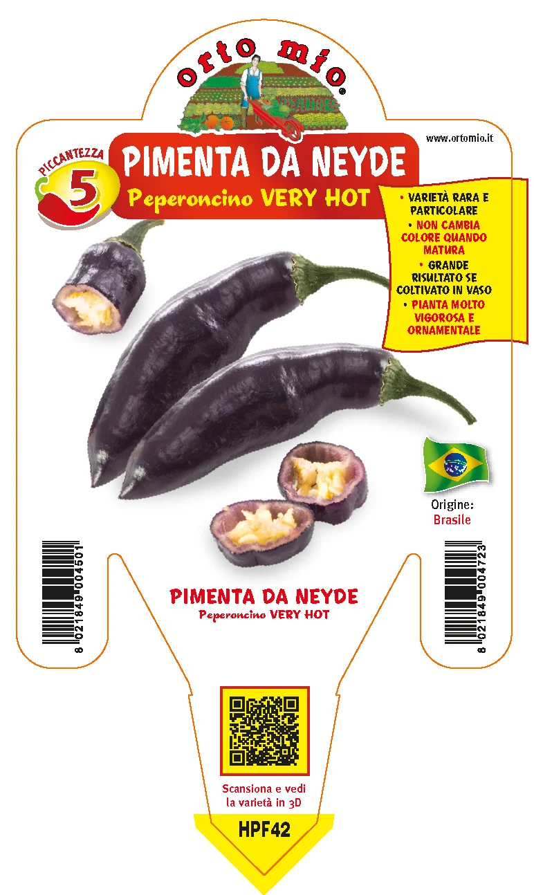 PIANTA DI PEPERONCINO PIMIENTA DA NEIDE (IN VASO Ø 14CM)