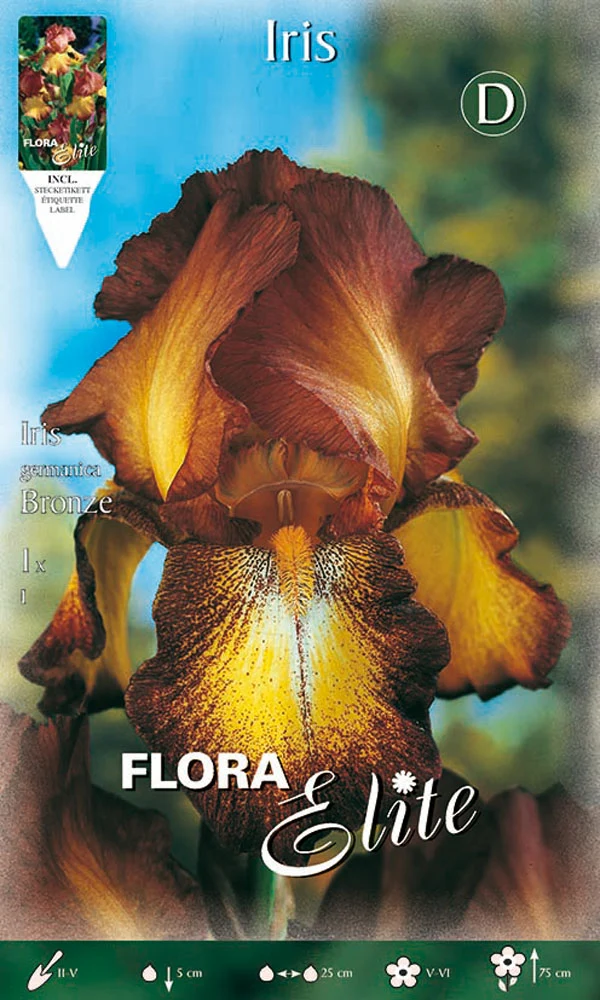 IRIS GERMANICA BRONZE (CONFEZIONE DA 1 BULBO)