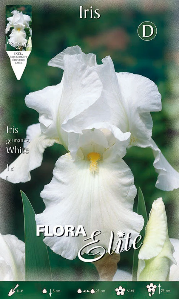 IRIS GERMANICA BIANCO (CONFEZIONE DA 1 BULBO)