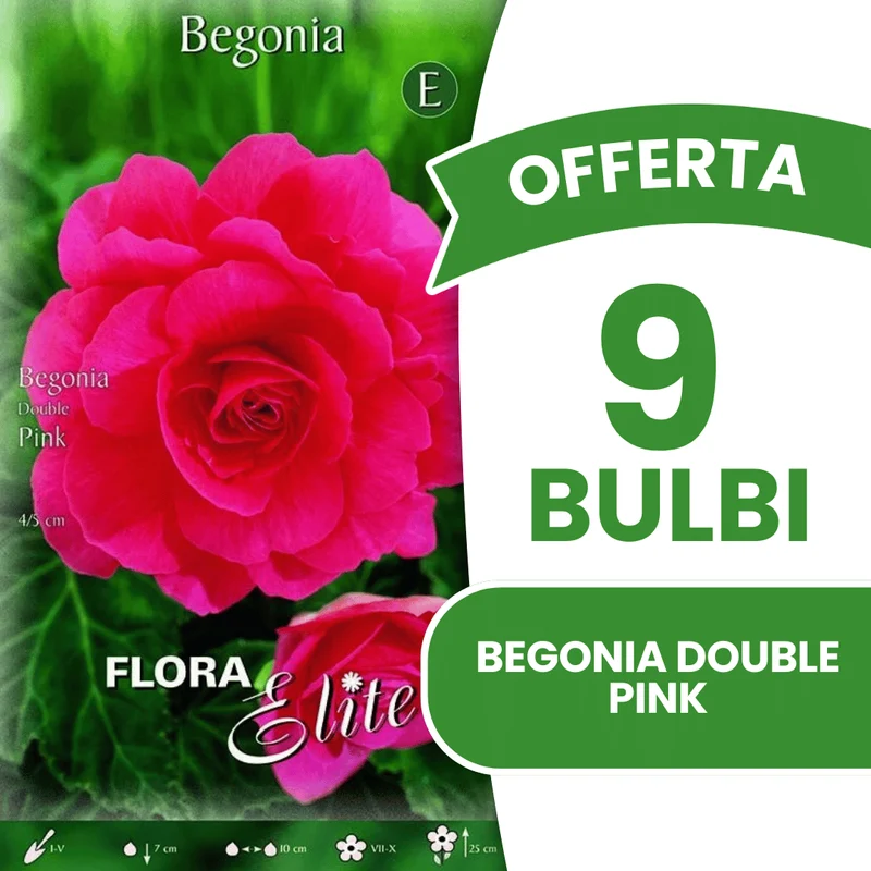 Offerta 9 Bulbi Begonia Double Pink