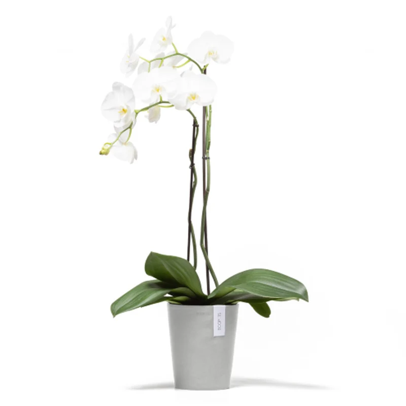 VASO DA TAVOLO ROTONDO MORINDA D14XH16CM BIANCO/GRIGIO