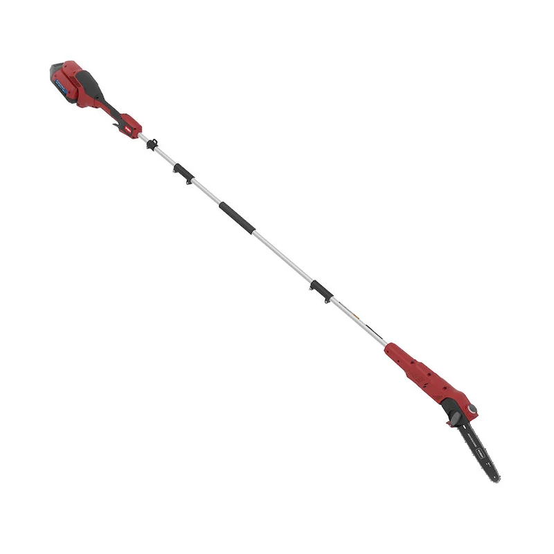 ELETTROSEGA POTATORE A BATTERIA TORO 60V 25 CM 51847T – SENZA BATTERIA