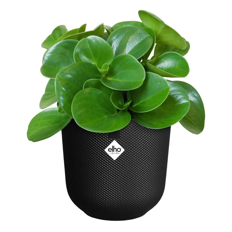 VASO JAZZ ROUND 14CM LIVING BLACK