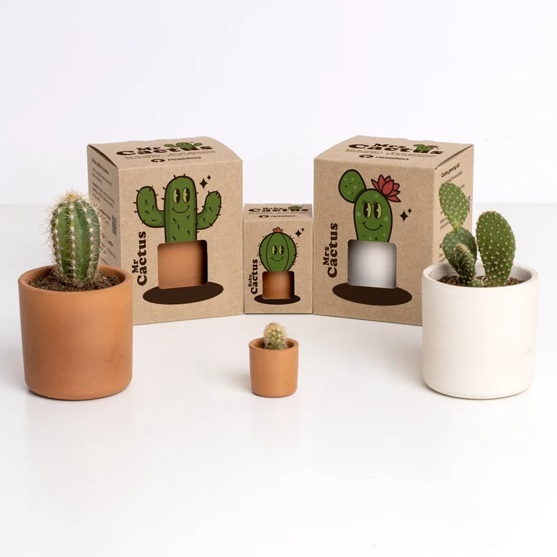 BABY CACTUS