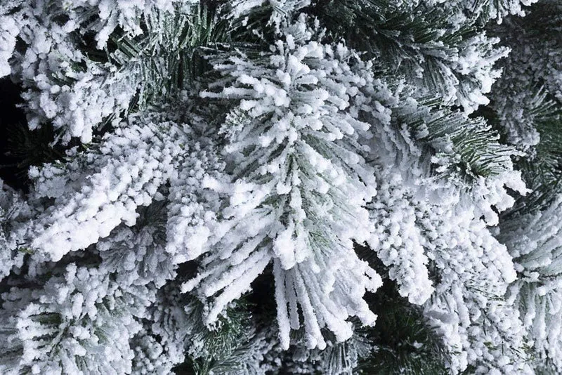 ALBERO DI NATALE SLIM PRAGA INNEVATO H240CM