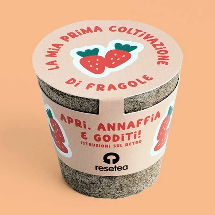 LA MIA PRIMA COLTIVAZIONE DI FRAGOLE