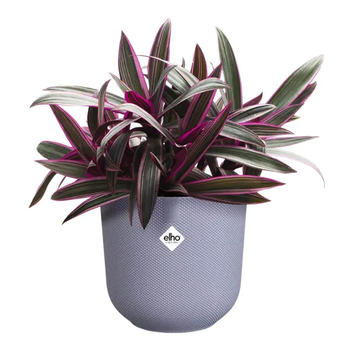 VASO JAZZ ROUND Ø19XH18CM LILLA