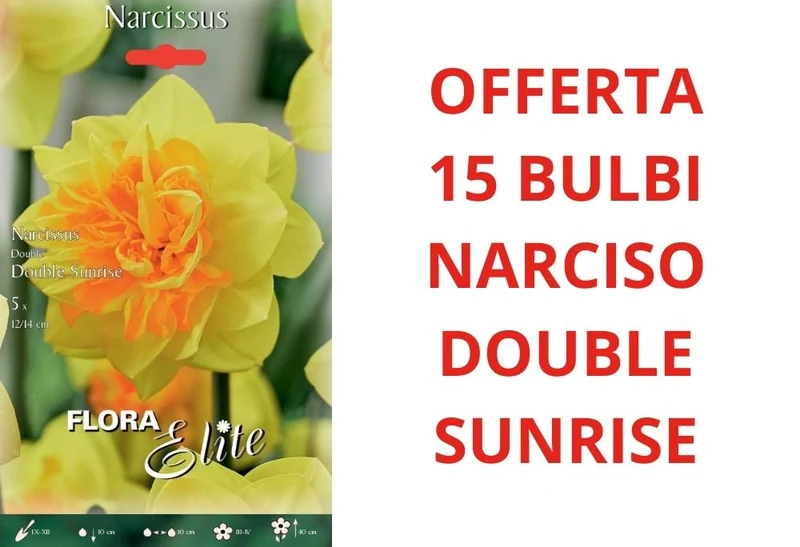 OFFERTA 15 BULBI DI NARCISO DOUBLE SUNRISE