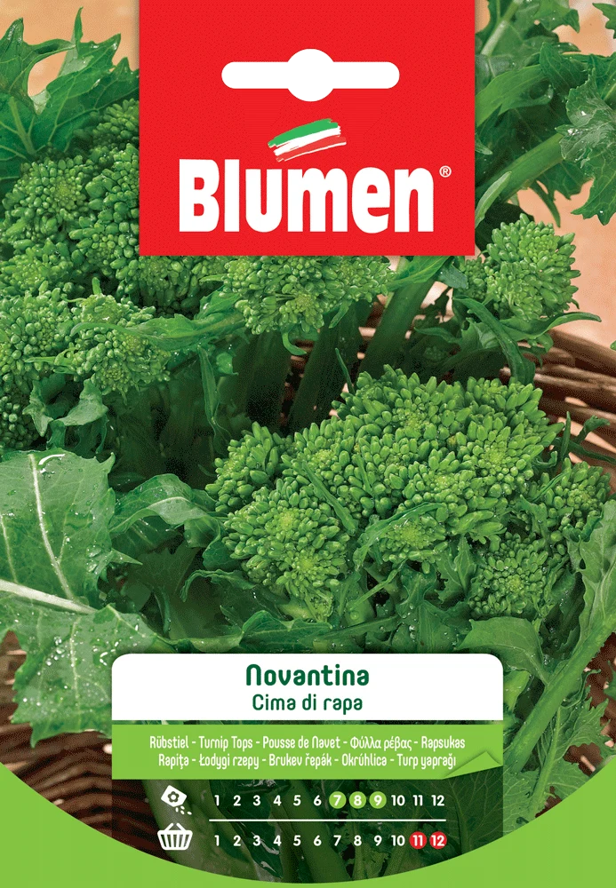SEMI DI CIMA DI RAPA NOVANTINA