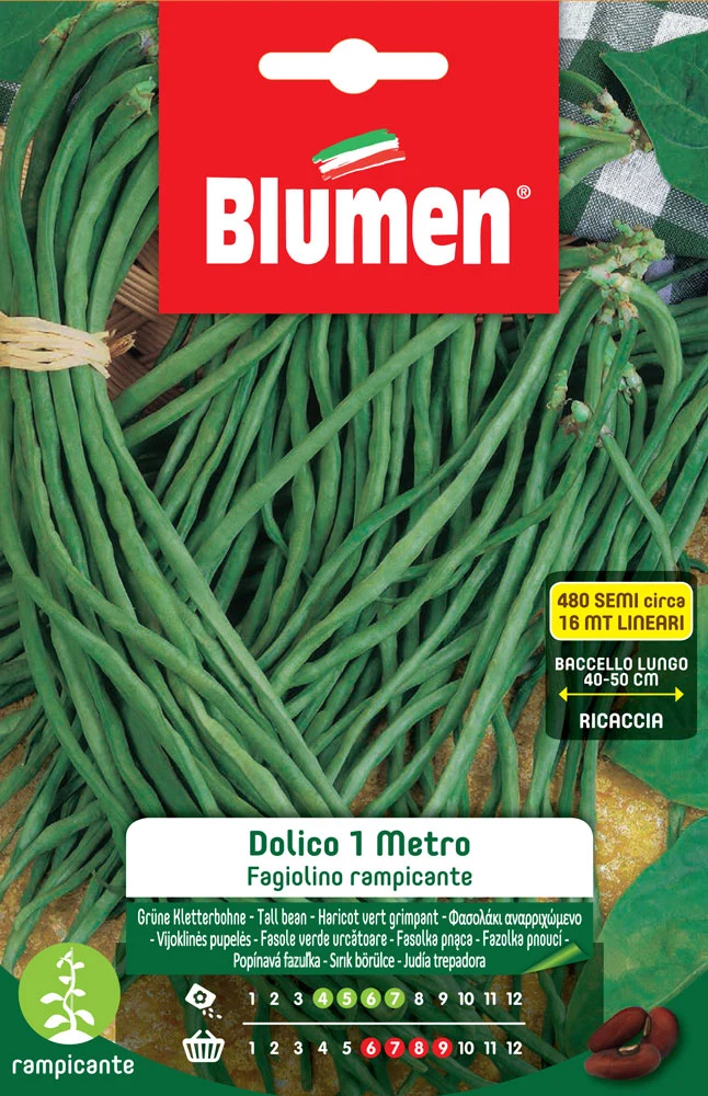 SEMI DI FAGIOLINI NANI RAMPICANTI DOLICO 1MT