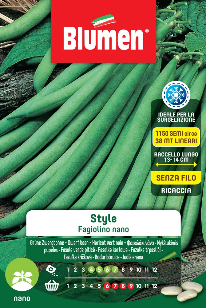 SEMI DI FAGIOLINI NANI STYLE