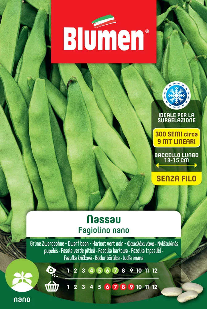SEMI DI FAGIOLINI NANI NASSAU